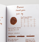 Diamine-Diamine Inkvent Green Edition Shimmer Collection şişe Mürekkep 50ml Yule Log-Mürekkep-4-milagron.live
