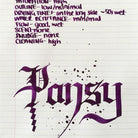 Diamine-Flower Collection 30 Ml Mürekkep Pansy-Şişe Mürekkep-2-milagron.live
