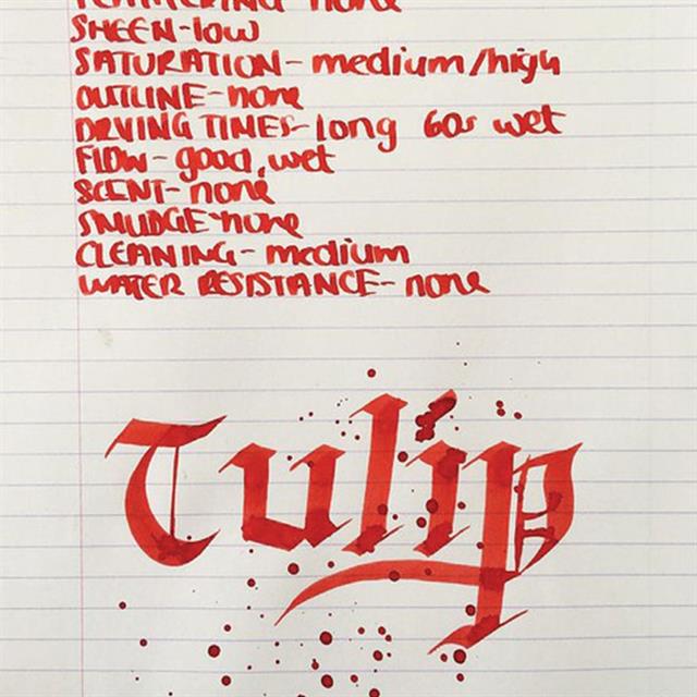 Diamine-Flower Collection 30 Ml Mürekkep Tulip-Şişe Mürekkep-2-milagron.live