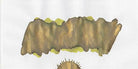 Diamine Ink Shimmering Mürekkep Razzmatazz 2020 50 Ml