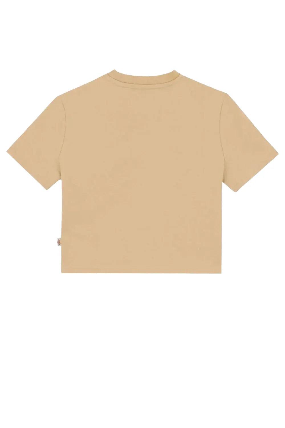 Dickies-Maple Valley Tee Irish Cream-T-Shirts-6-milagron.live