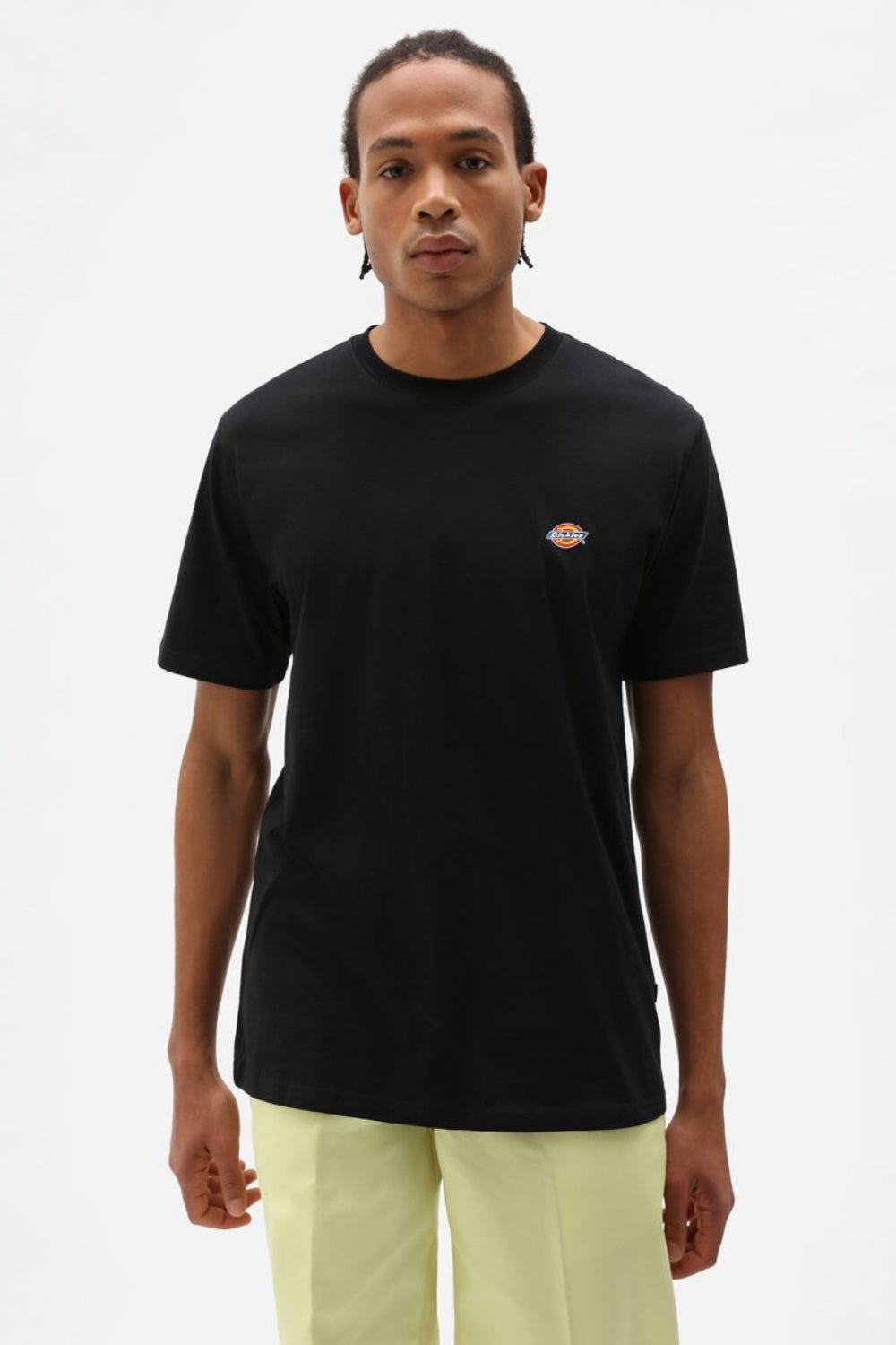 Dickies-Mapleton Ss Tee Black-T-Shirts-1-milagron.live