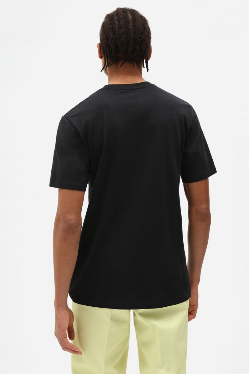 Dickies-Mapleton Ss Tee Black-T-Shirts-3-milagron.live