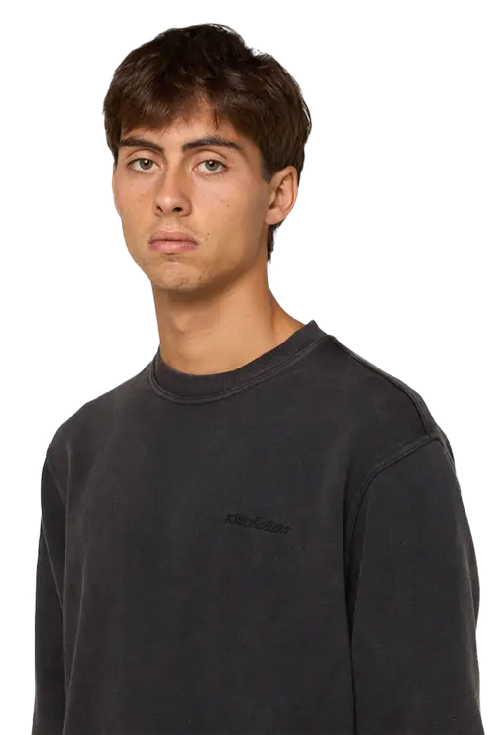 Dickies-Plentywood SW Erkek Yıkamalı Uzun Kollu Sweatshirt-Sweatshirts & Hoodies-4-milagron.live