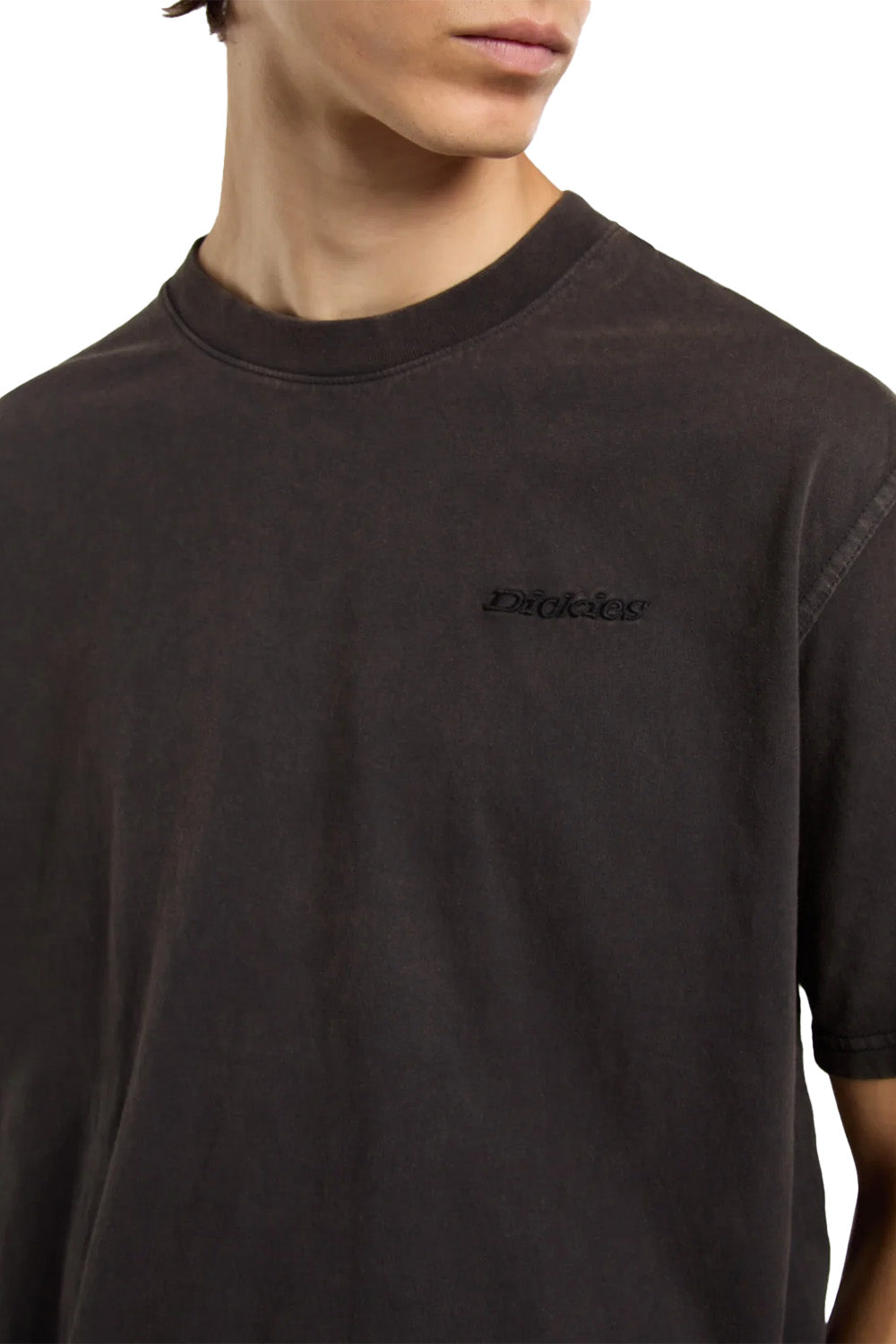 Dickies-Plentywood Tee Ls Erkek Yıkamalı Kısa Kollu T-Shirt-T-Shirts-6-milagron.live