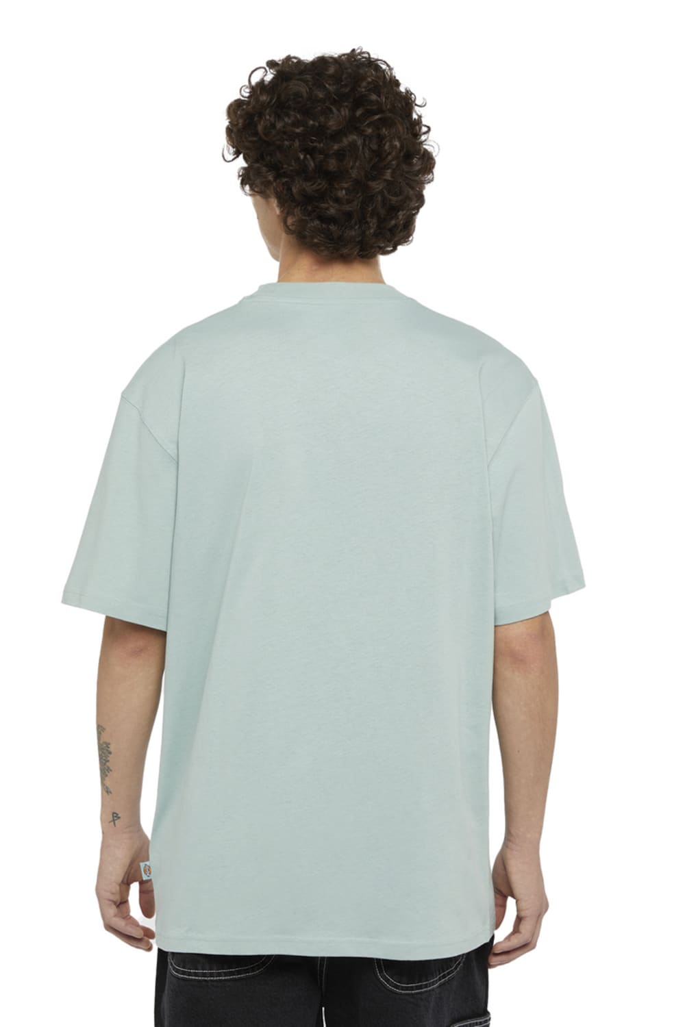Dickies-Summerdale SS Tee Blue Surf-T-Shirts-2-milagron.live