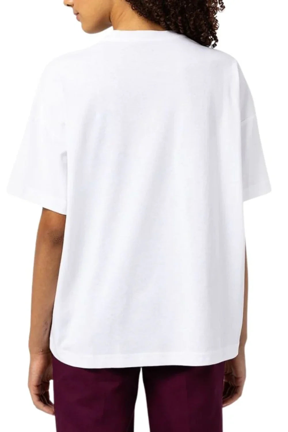 Dickies-Summerdale SS Tee White-T-Shirts-6-milagron.live