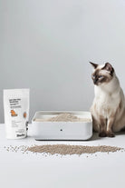 Docho-Kedi Kumu Koku Giderici Aktif Karbon 400 Gr Ve Koku Ve Leke Çıkarıcı Enzimatik Sprey 500 Ml Seti-Kedi-4-milagron.live