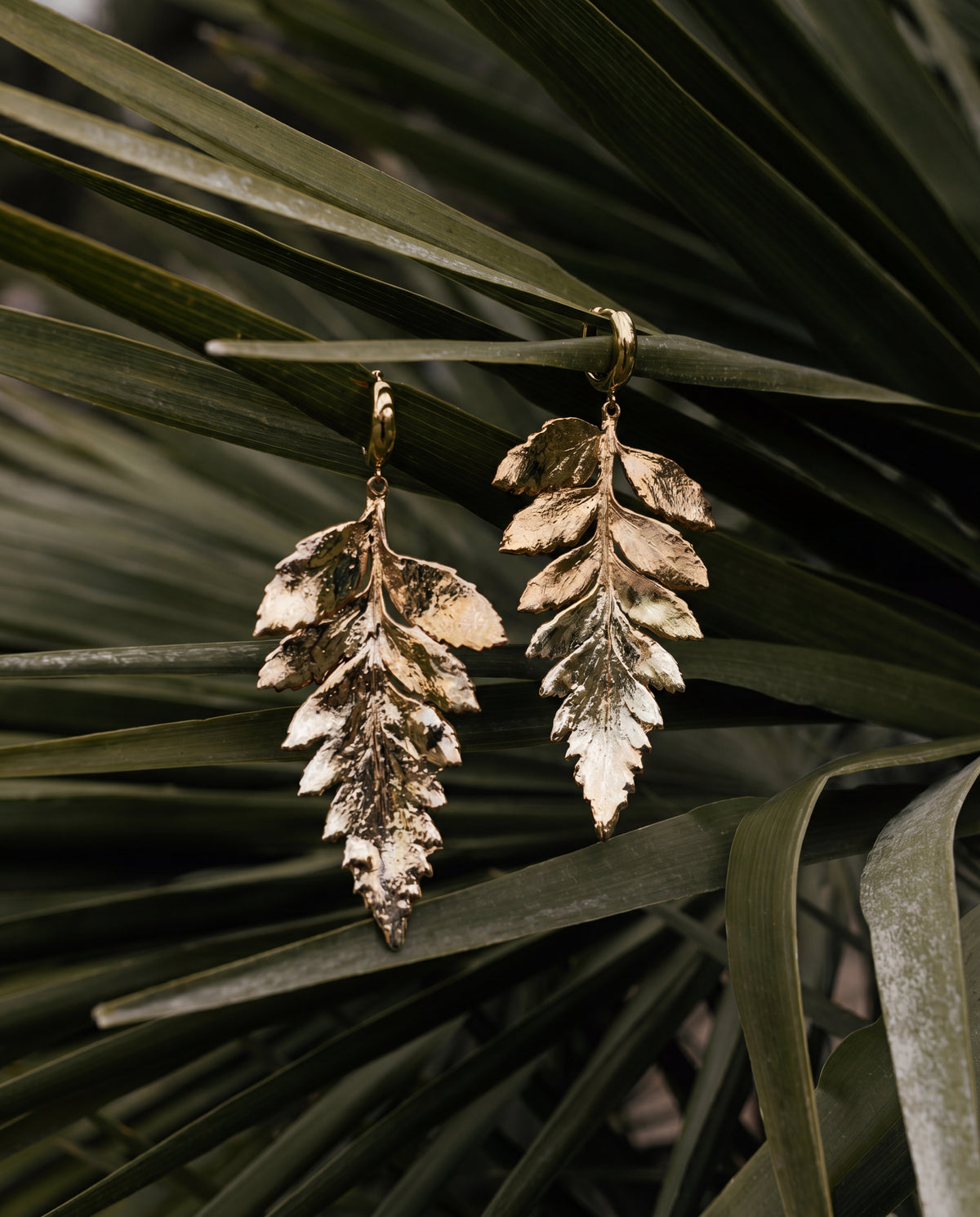 Feryn Earrings