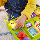 Hrb70 Fisher-Price Köpekçiğin Oyun İStasyonu