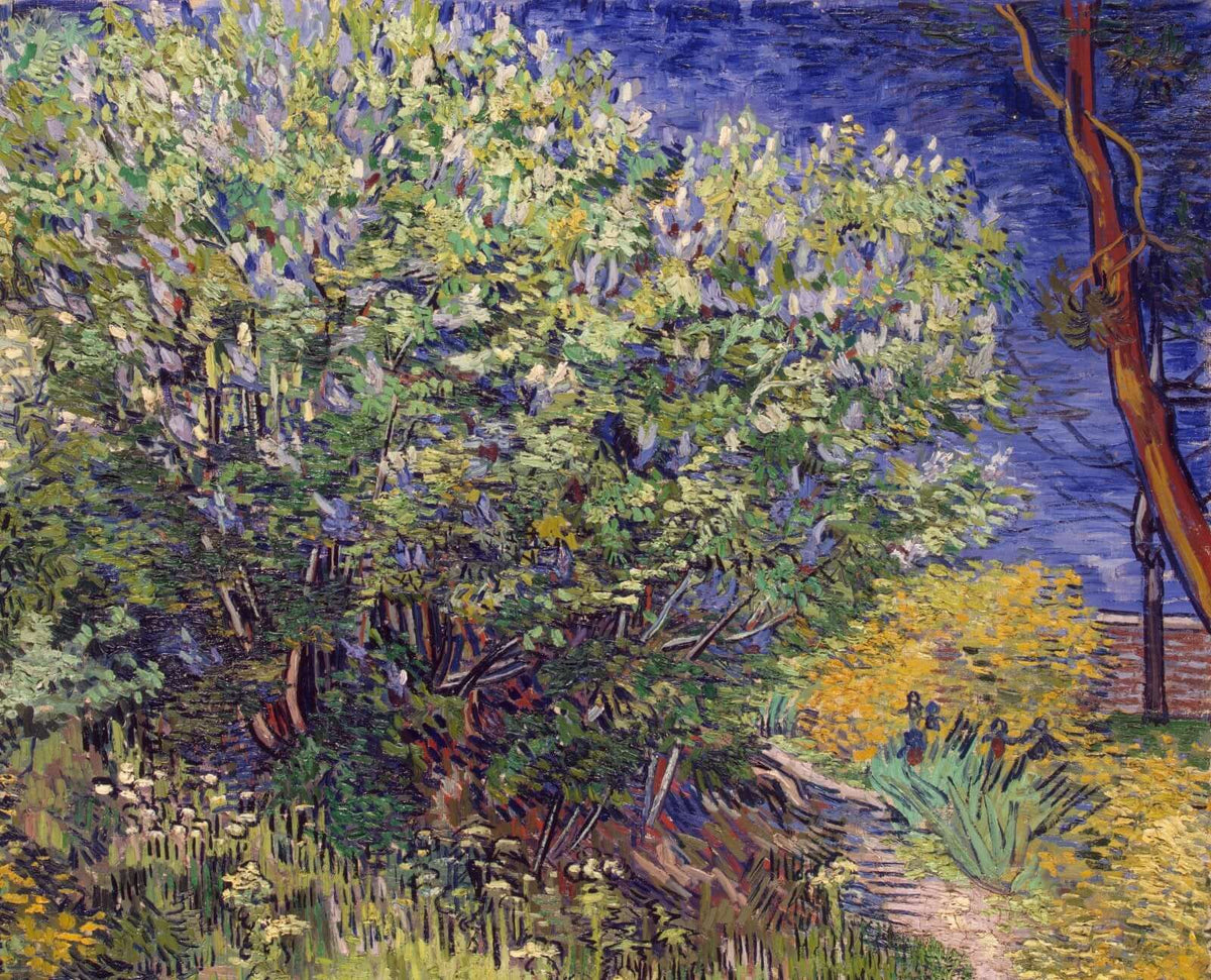 Vincent Van Gogh - Leylak Çalısı