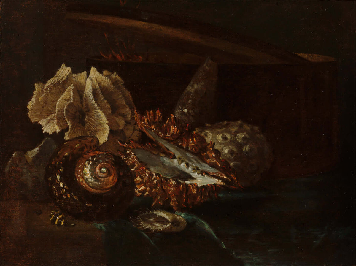 Willem Kalf - Deniz Kabukları Ve Mercan Ile Natürmort