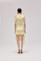 Fetch Dress - 2