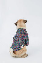 Hypet Fashion-Abstarct Flowers Gömlek-Köpek-4-milagron.live