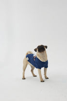 Hypet Fashion-Boo Tee-Köpek-6-milagron.live