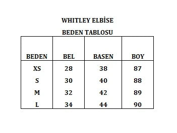 Whitley V Yaka Balon Kollu Katlı Fırfırlı Mini Elbise - 5