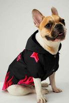 Little Monsters-Black Fire Yağmurluk-Köpek-5-milagron.live