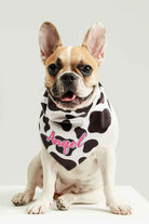 Little Monsters-Cow Print Angel Bandana-Köpek-1-milagron.live