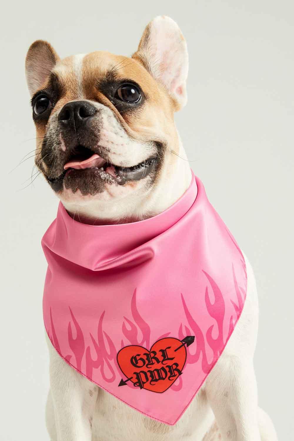 Little Monsters-GRL PWR Bandana-Köpek-1-milagron.live