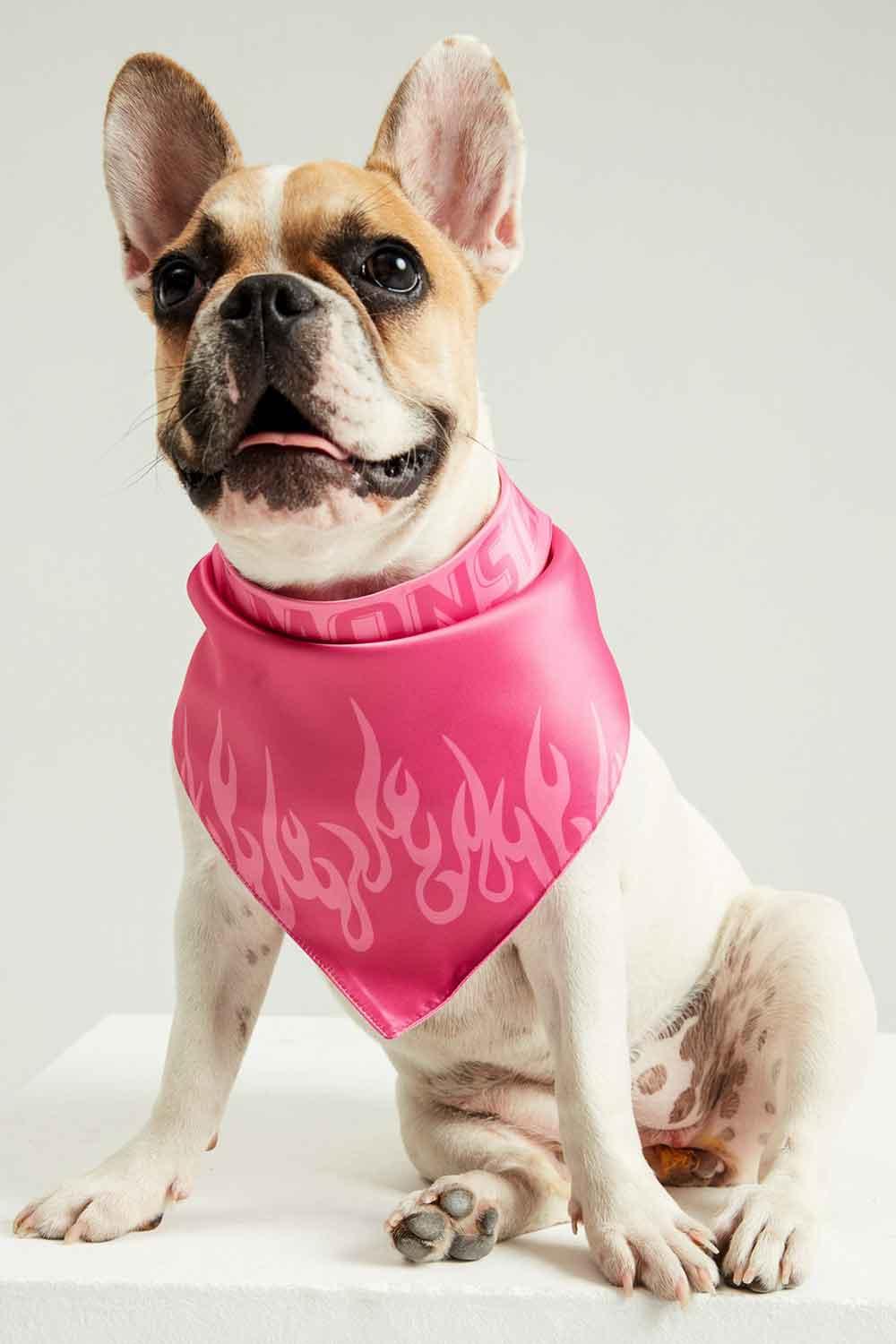 Little Monsters-GRL PWR Bandana-Köpek-5-milagron.live