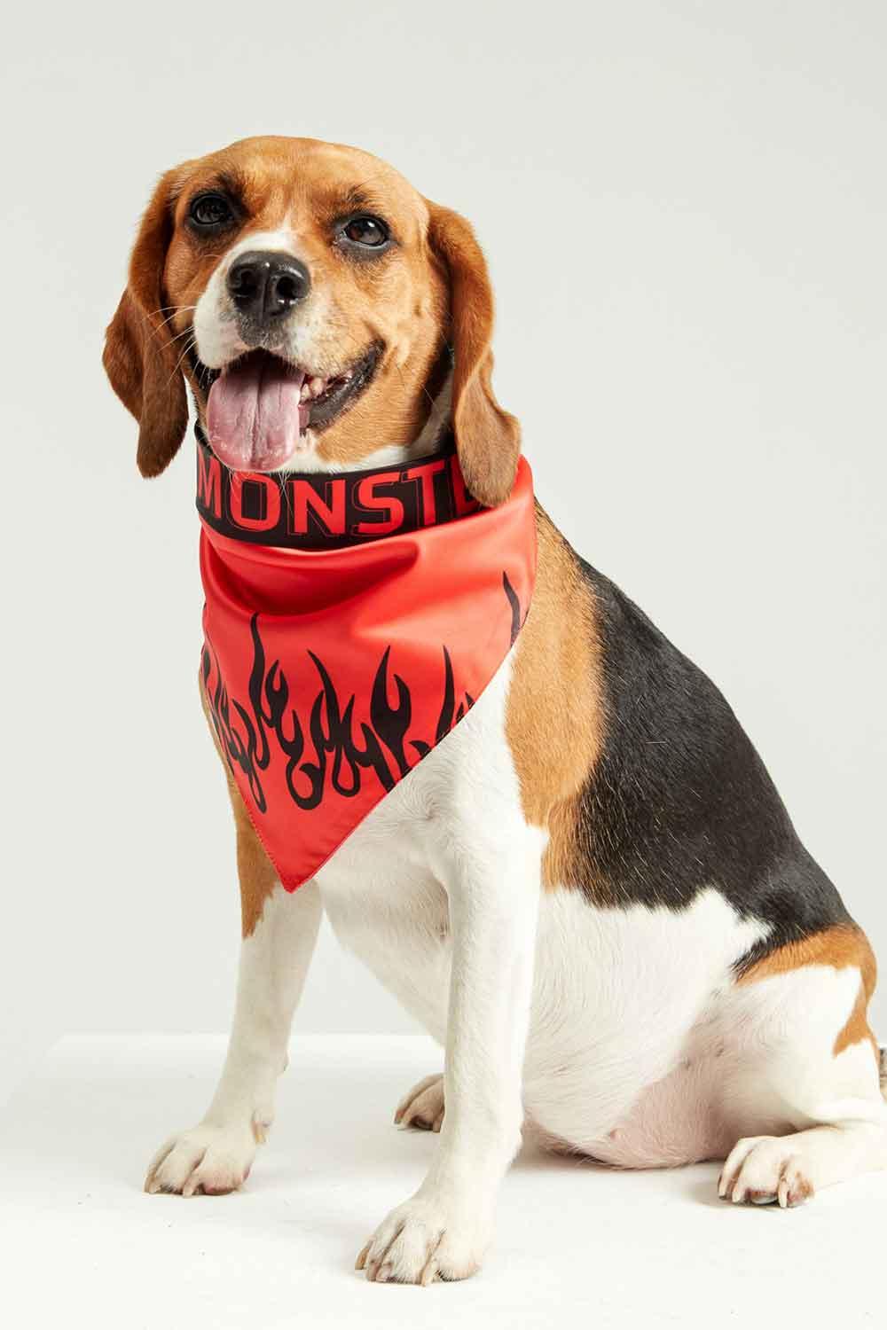 Little Monsters-LM Black Fire Bandana-Köpek-5-milagron.live