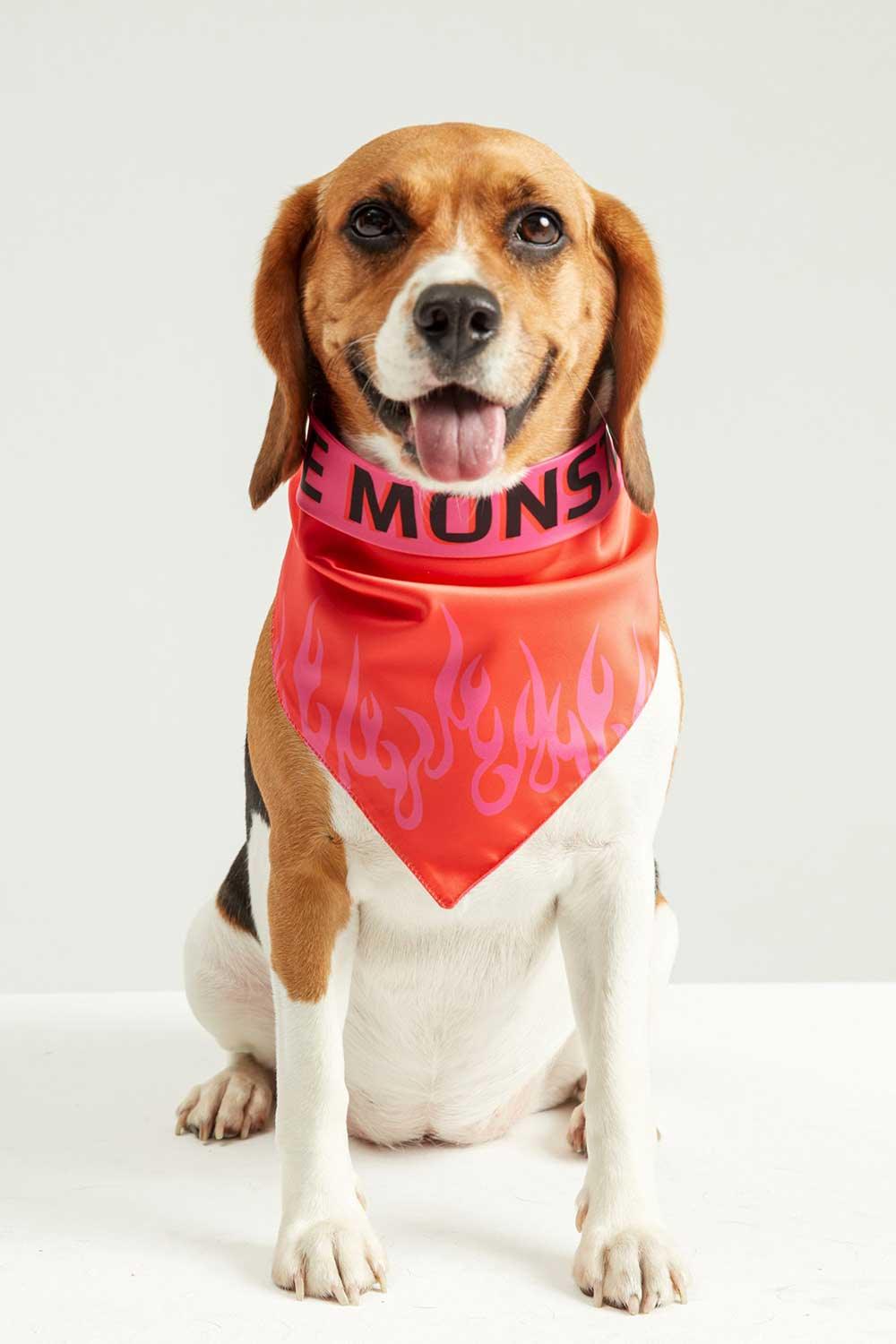Little Monsters-LM Fire Bandana-Köpek-2-milagron.live