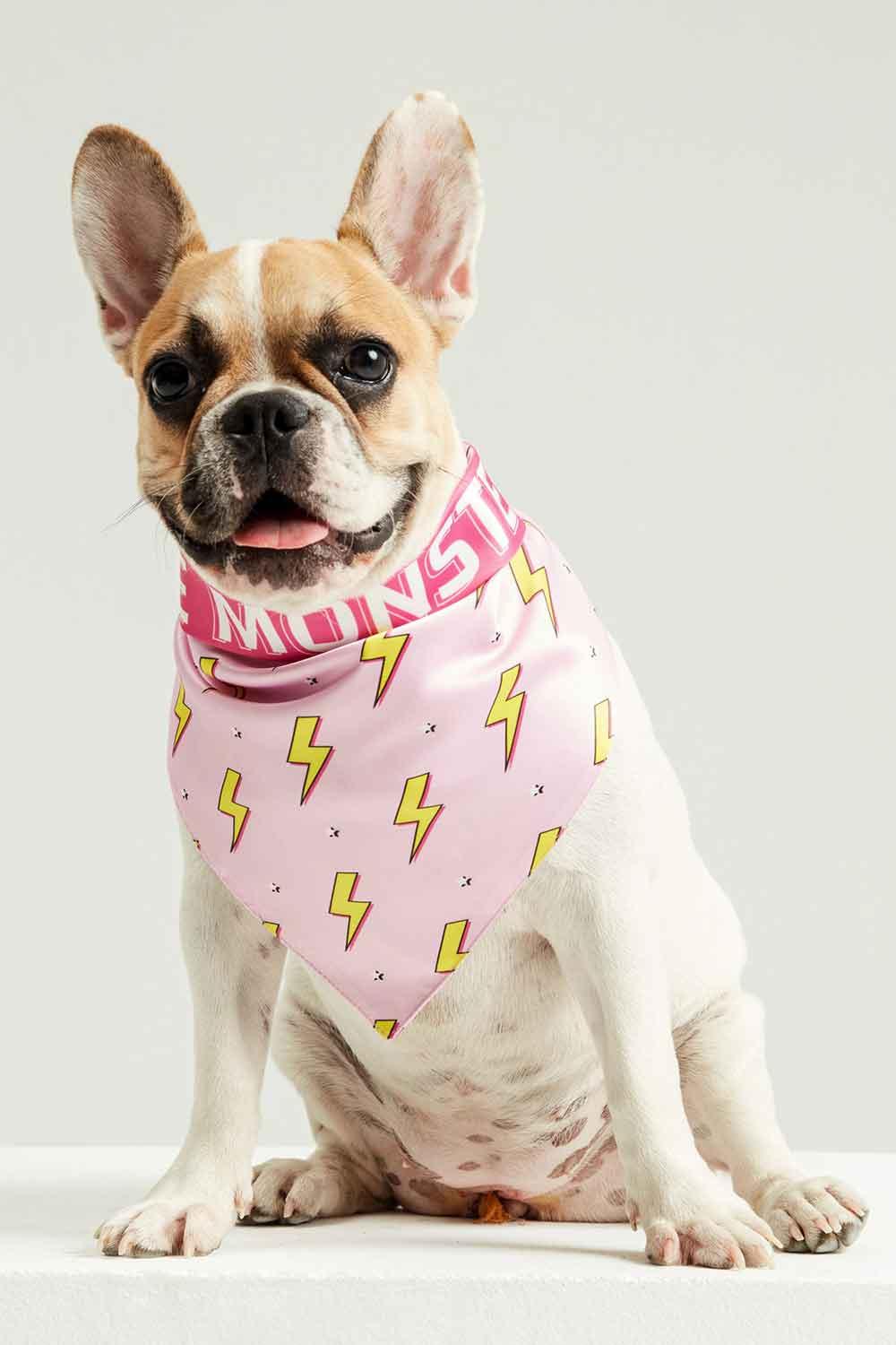 Little Monsters-Pink Flash Bandana-Köpek-4-milagron.live