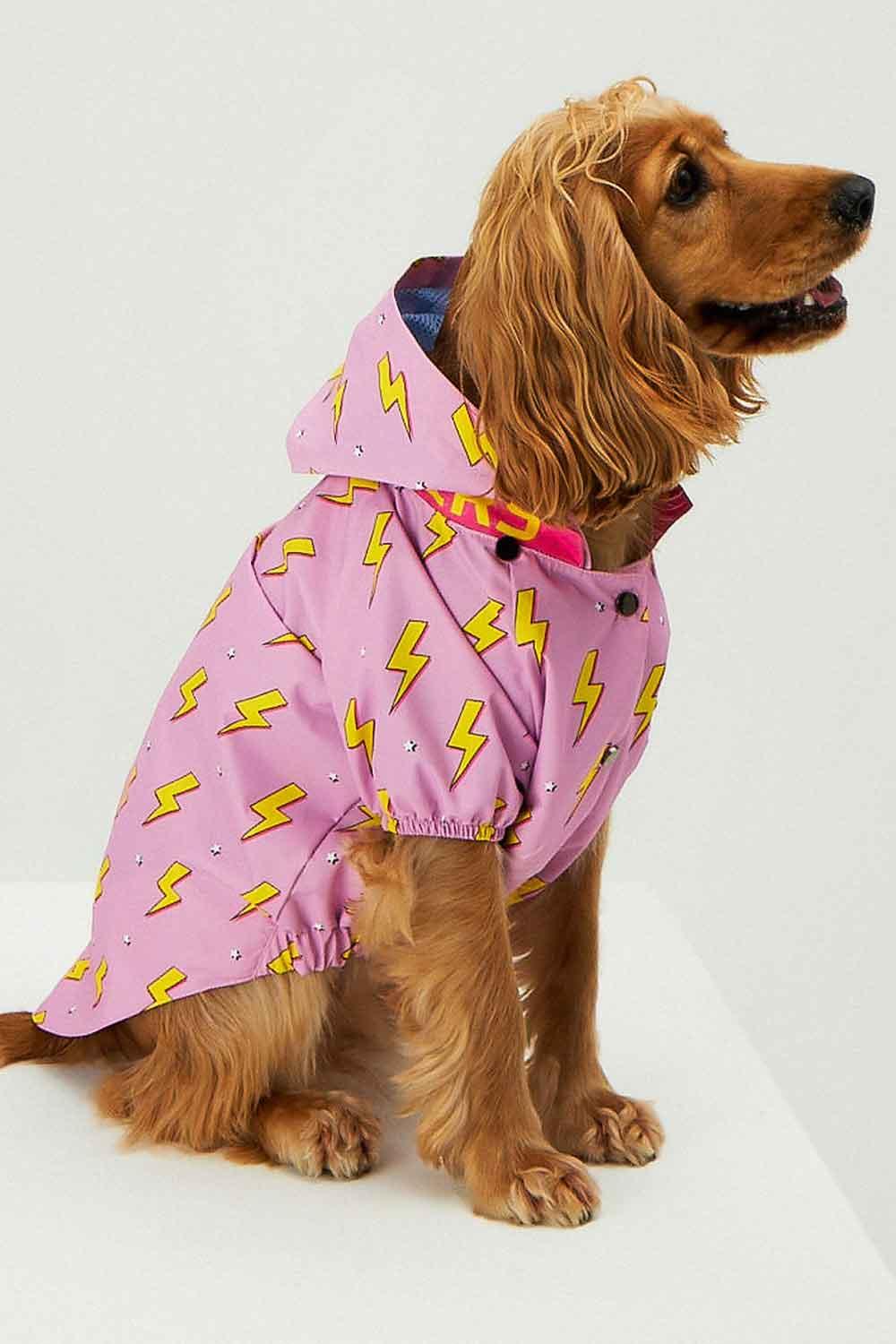 Little Monsters-Pink Flash Yağmurluk-Köpek-3-milagron.live