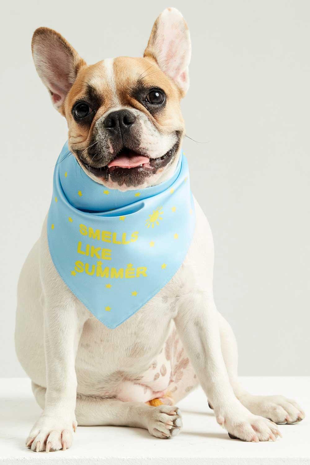 Little Monsters-Smells Like Summer Bandana-Köpek-2-milagron.live