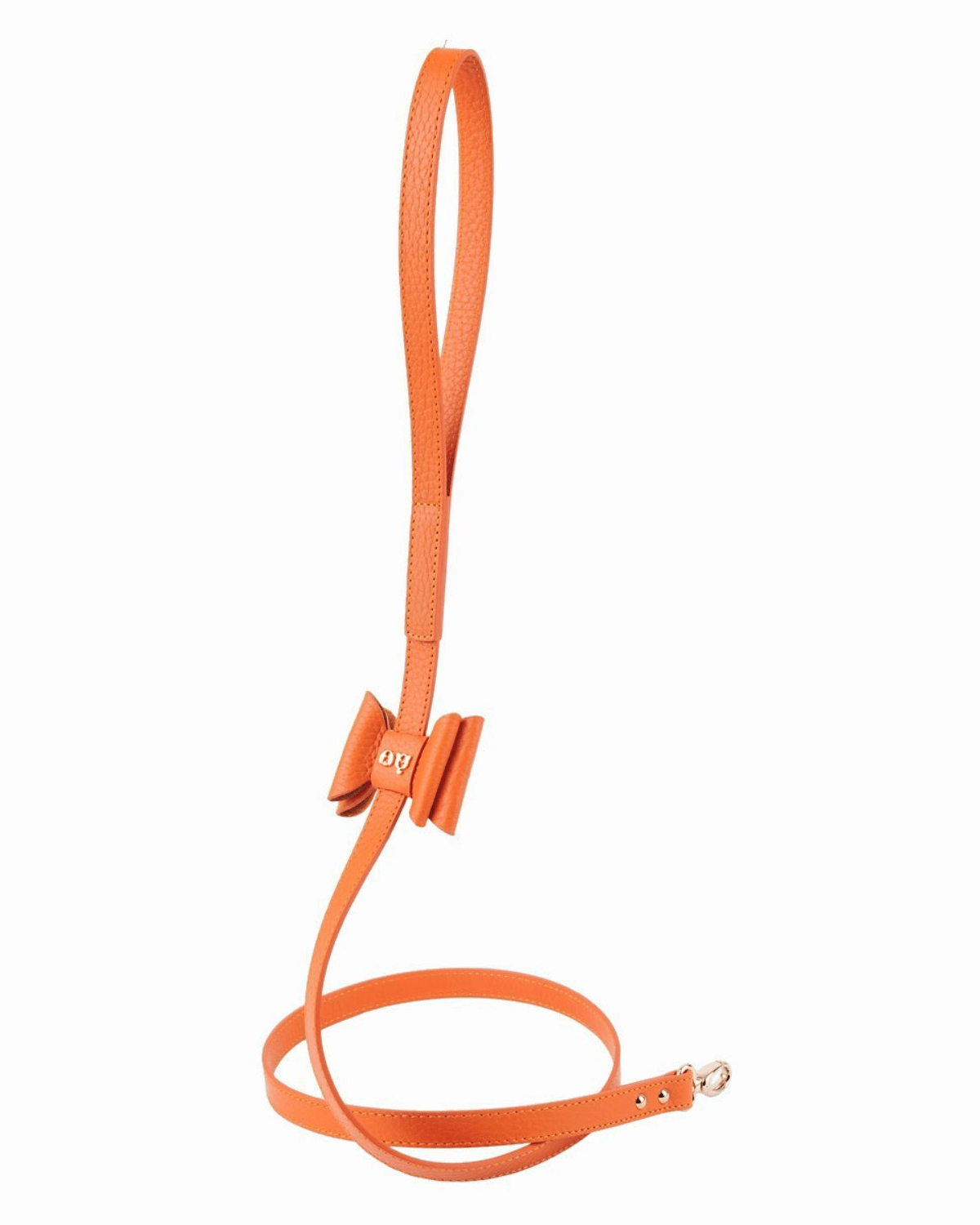 Bisou Dog Leash