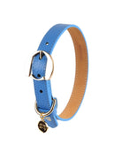 Hachiko Dog Collar