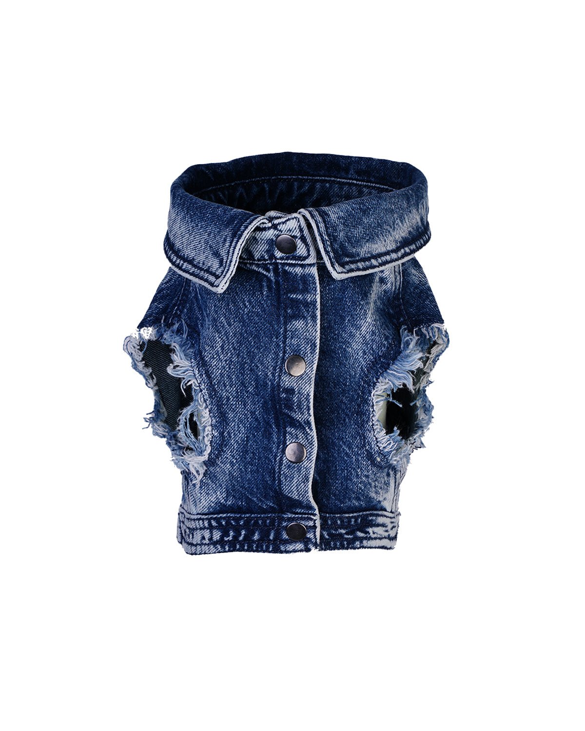 Moshiqa Denim Cat