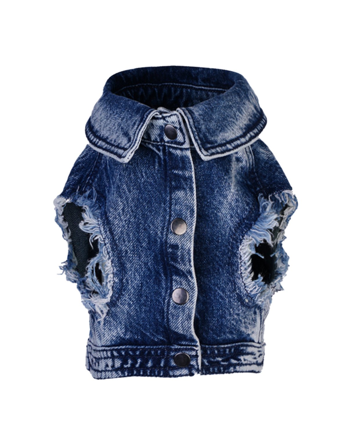 Moshiqa Denim Dog