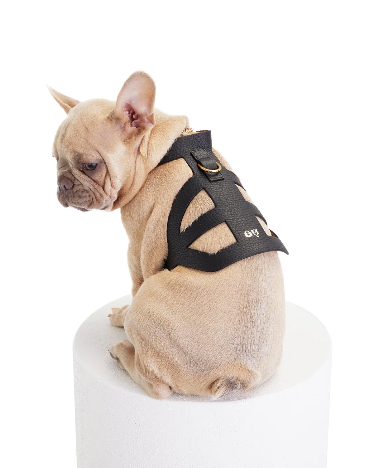 Pierre Dog Harness