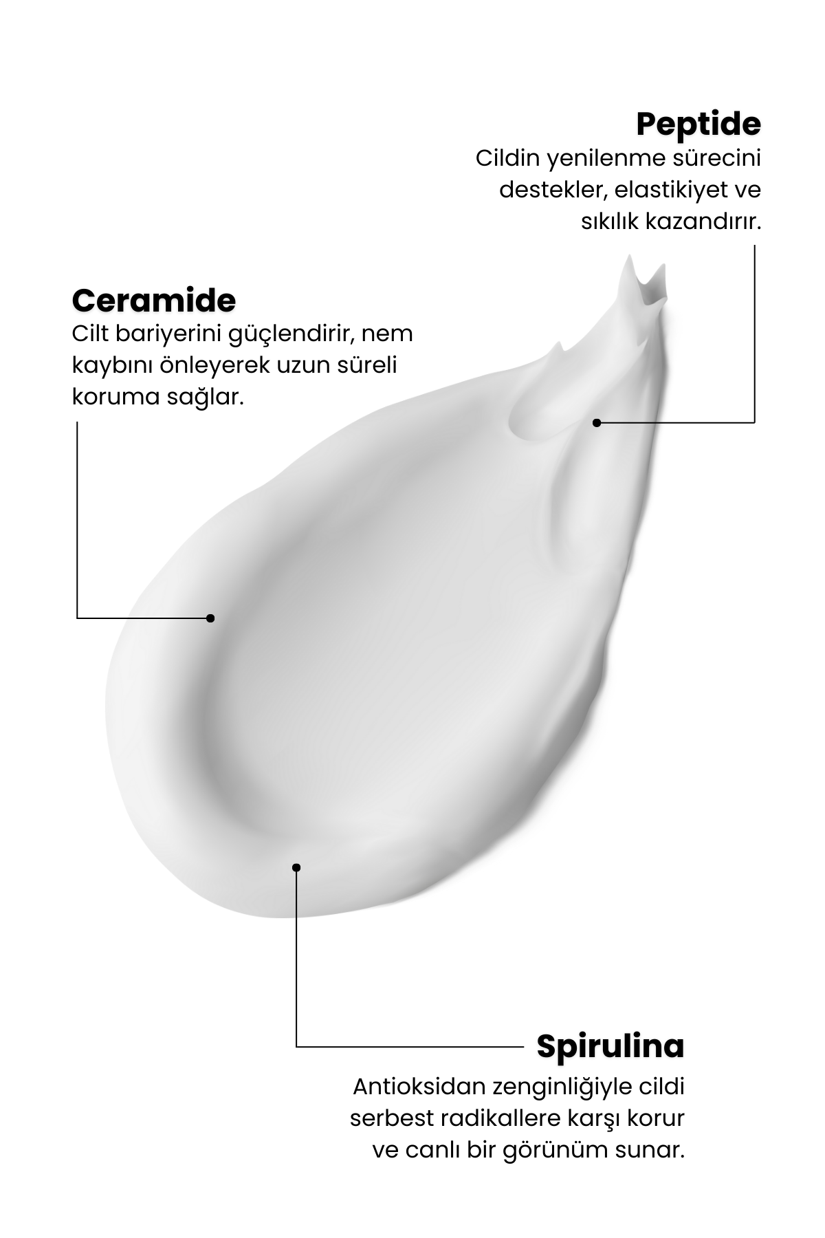 Marine Algae | Peptit & Seramid Bariyer Onarıcı Nemlendirici Krem 50 Ml