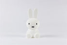 Mini Miffy Lamba