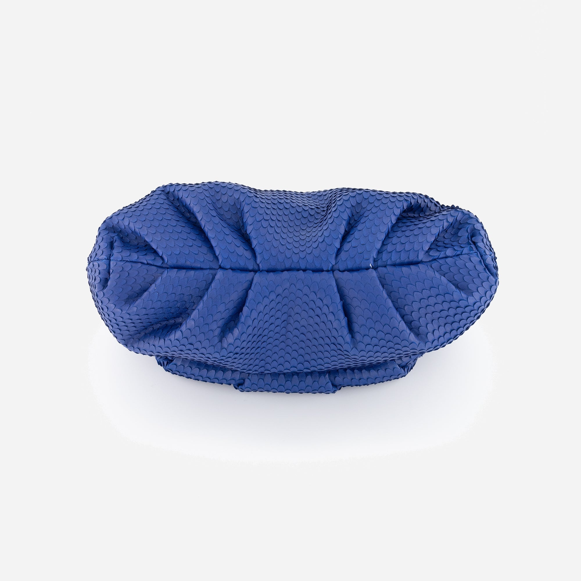 Otrera-Leda Snake - Blue-Clutch-3-milagron.live
