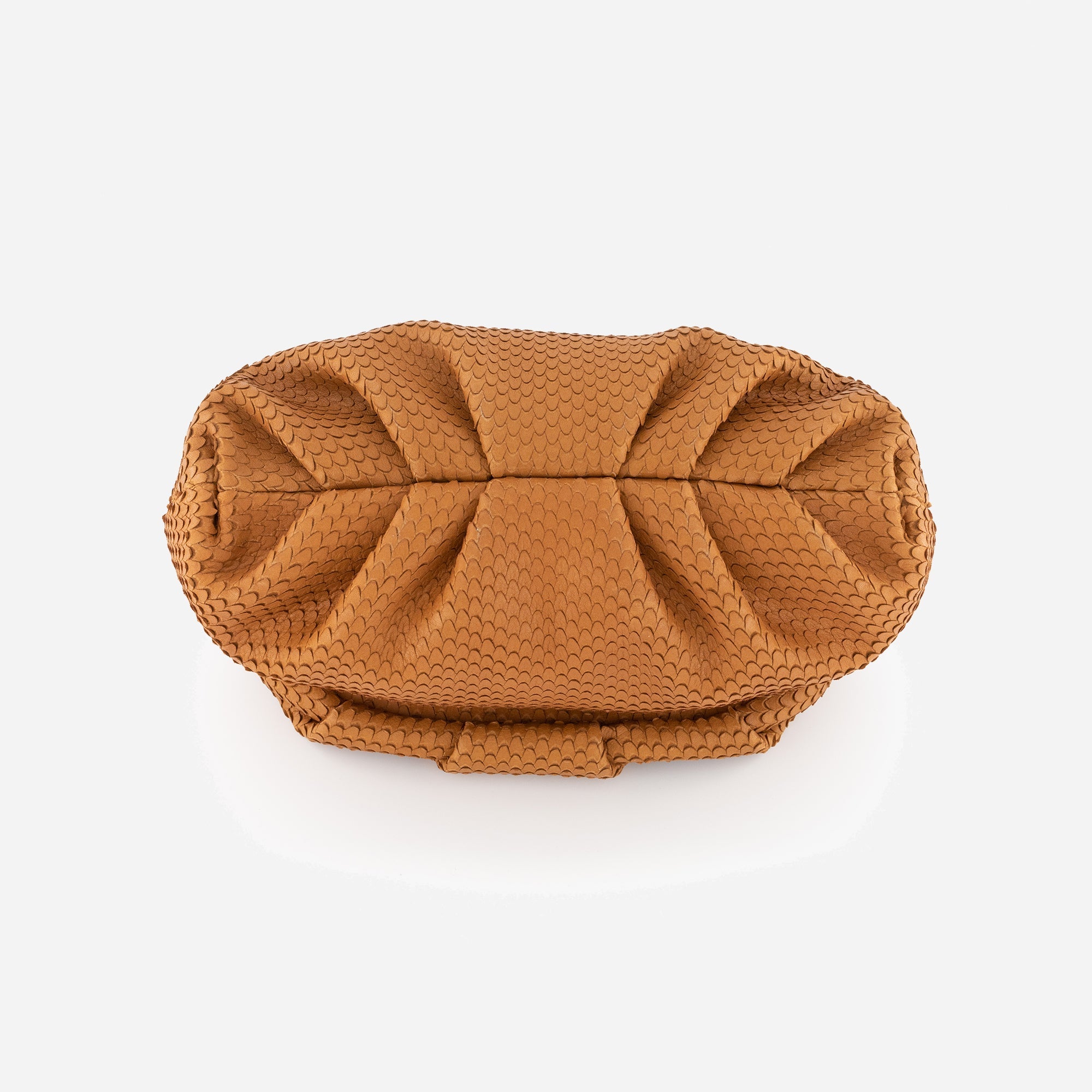 Otrera-Leda Snake - Brown-Clutch-3-milagron.live