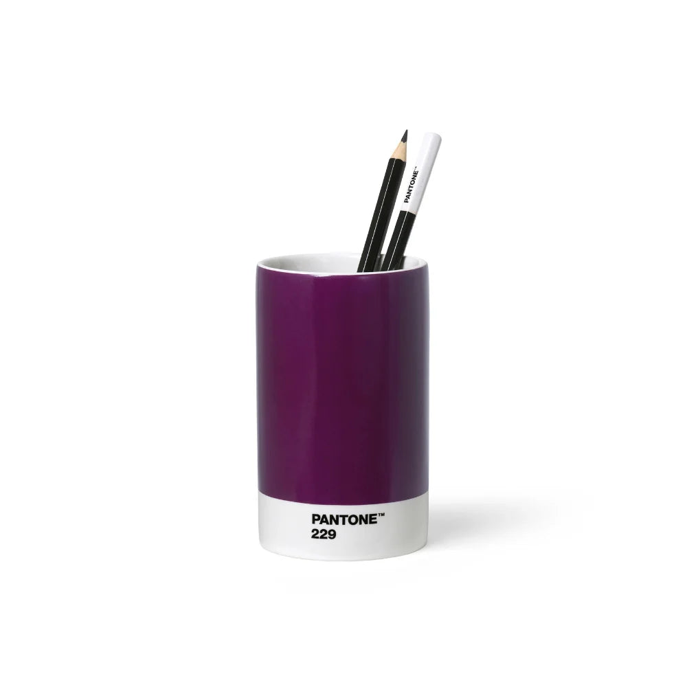 Pantone 229 Koyu Mor Porselen Kalemlik