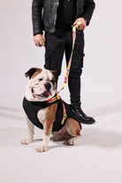 Pawlook-Pawlook , Göğüs Tasmalı, Köpek Montu, Köpek Yağmurluğu, Siyah-Köpek-1-milagron.live