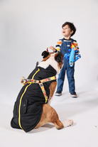 Pawlook-Pawlook , Göğüs Tasmalı, Köpek Montu, Köpek Yağmurluğu, Siyah-Köpek-4-milagron.live