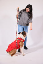 Pawlook-Pawlook, Göğüs Tasmalı, Köpek Montu, Köpek Yağmurluğu, Siyah-Köpek-6-milagron.live