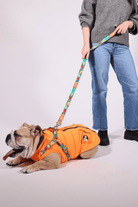 Pawlook-Pawlook , Göğüs Tasmalı, Köpek Montu, Köpek Yağmurluğu, Turuncu-Köpek-1-milagron.live