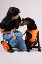 Pawlook-Pawlook , Göğüs Tasmalı, Köpek Montu, Köpek Yağmurluğu, Turuncu-Köpek-8-milagron.live