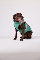 Pawlook-Pawlook , Göğüs Tasmalı, Köpek Montu, Köpek Yağmurluğu, Yeşil-Köpek-5-milagron.live