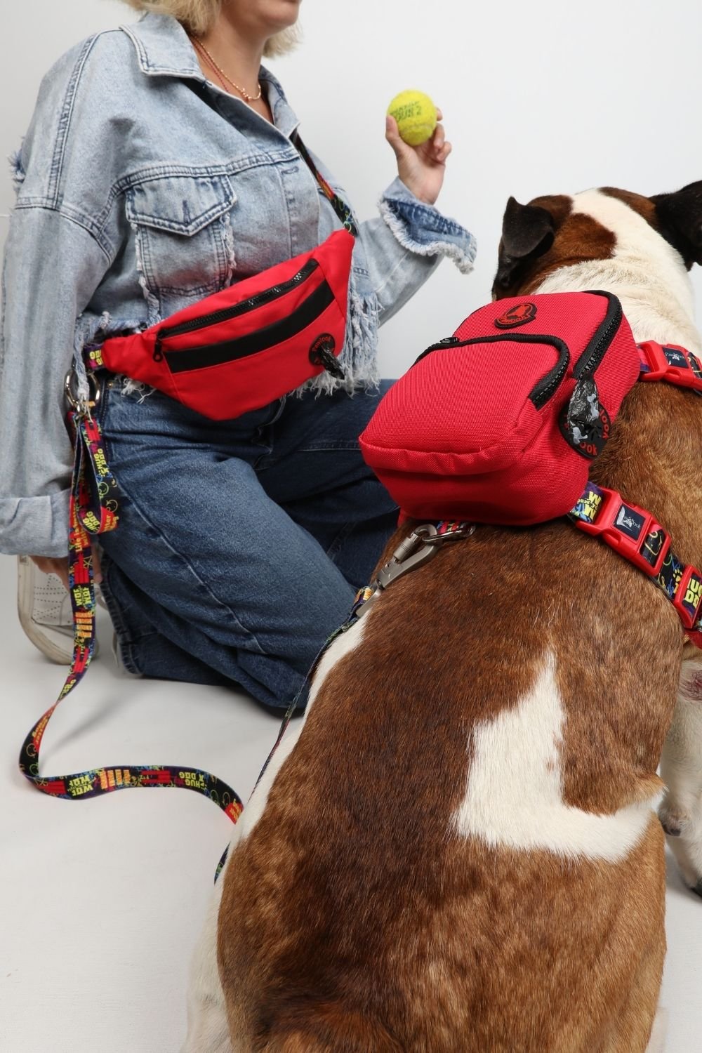 Pawlook-Pawlook, Kırmızı, Handsfree, Gezdirme Tasması, Eller Serbest, Gezdirme Kayışı, Handsfree Tasma-Köpek-1-milagron.live