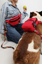 Pawlook-Pawlook, Kırmızı, Handsfree, Gezdirme Tasması, Eller Serbest, Gezdirme Kayışı, Handsfree Tasma-Köpek-1-milagron.live