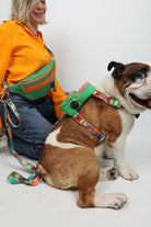 Pawlook-Pawlook , Yeşil, Handsfree, Gezdirme Tasması, Eller Serbest, Gezdirme Kayışı, Handsfree Tasma-Köpek-1-milagron.live