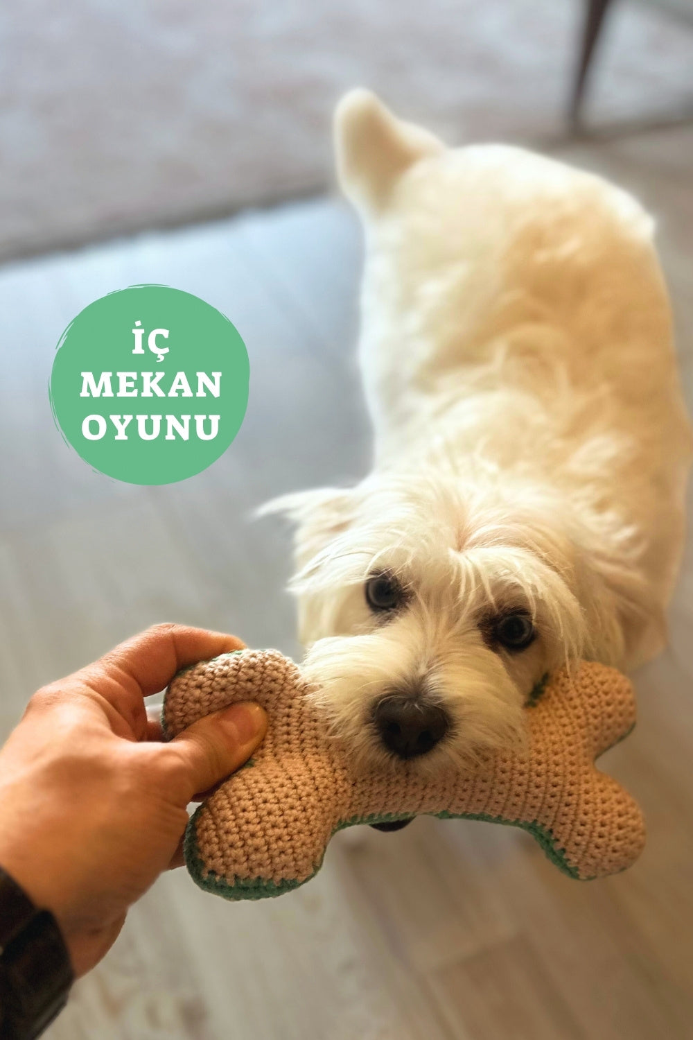 Ürün Görseli
