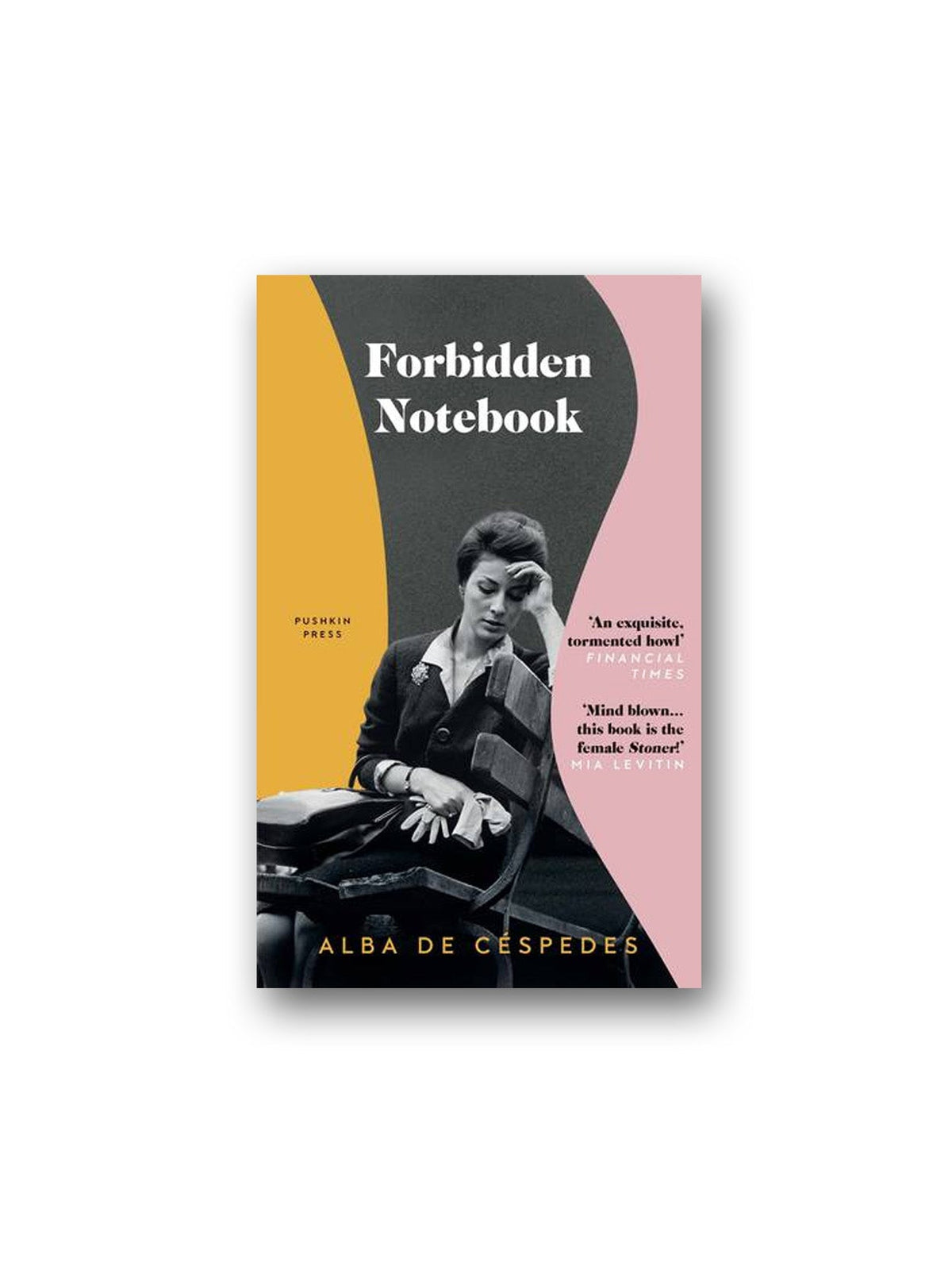 Pushkin Press-Forbidden Notebook-Kitap-1-milagron.live
